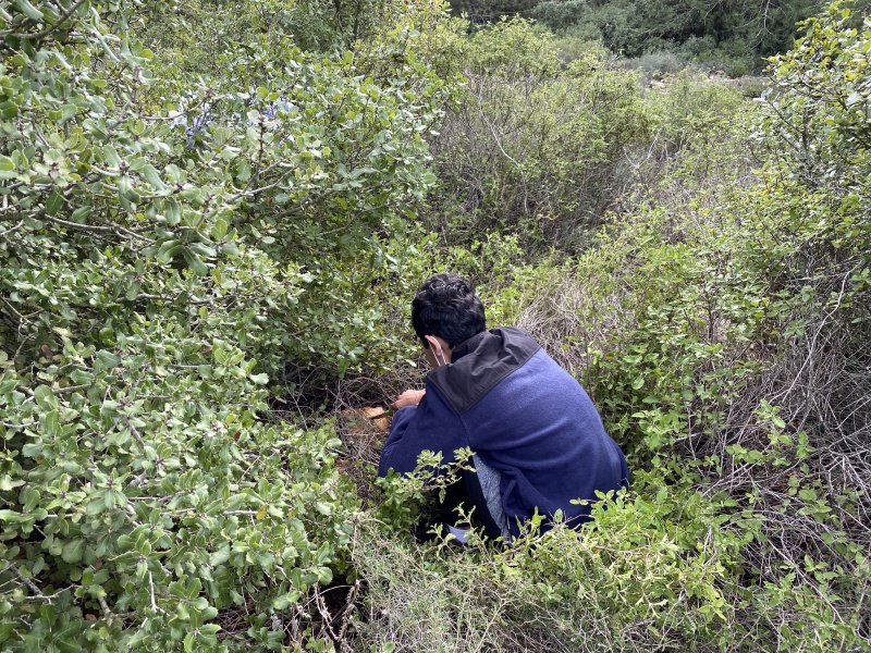 קובץ:2020-11-28T10 12 44.077046225992.jpg