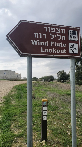 קובץ:2020-12-05T10 15 30.024572311470.jpg