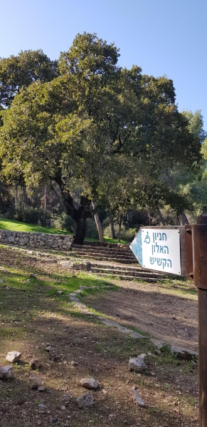 קובץ:2020-12-11T12 34 51.275944259158.jpg