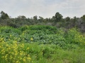 תמונה ממוזערת לגרסה מתאריך 14:18, 25 בפברואר 2020