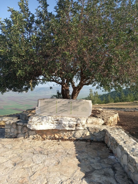 קובץ:2021-01-07T09 12 43.475613250141.jpg