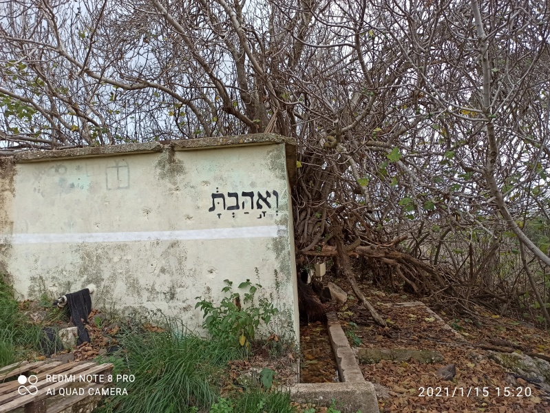 קובץ:2021-01-15T15 20 26.863506628103.jpg