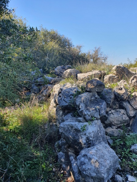 קובץ:2021-01-22T11 00 01.980732743573.jpg