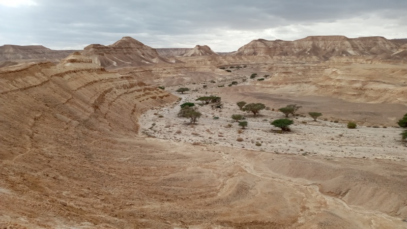 קובץ:2021-02-19 12.49.52.jpg