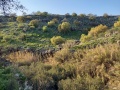 תמונה ממוזערת לגרסה מתאריך 15:04, 24 בפברואר 2021