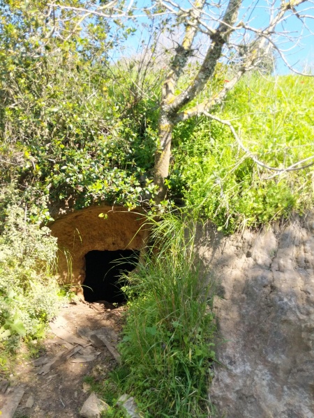 קובץ:2021-02-27T13 21 56.207900645314.jpg