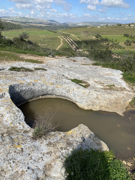 קובץ:2021-03-07T23 58 01.437113985964.jpg