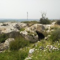 תמונה ממוזערת לגרסה מתאריך 10:49, 15 במרץ 2021