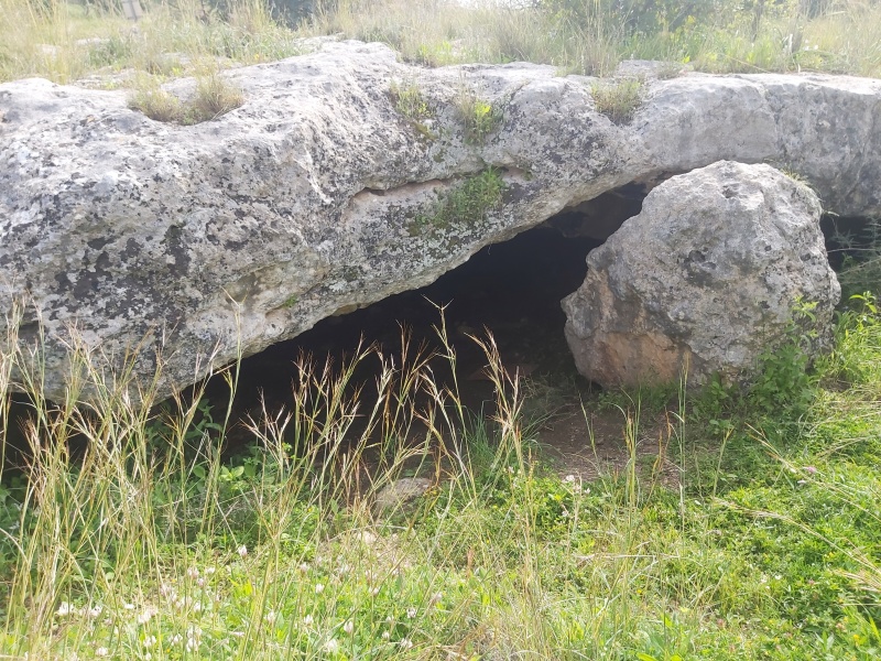 קובץ:2021-03-15T14 29 57.404838599143.jpg