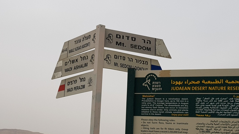 קובץ:2021-03-22T15 33 36.566342549700.jpg