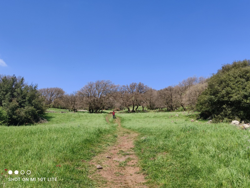 קובץ:2021-03-31T14 46 05.336855274637.jpg