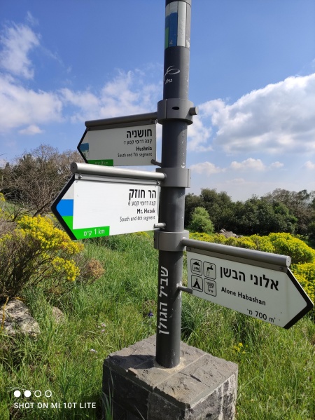 קובץ:2021-03-31T14 57 09.996858417188.jpg