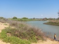 תמונה ממוזערת לגרסה מתאריך 16:25, 24 בנובמבר 2021