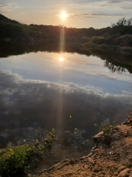 קובץ:2021-04-01T18 19 21.041083911382.jpg