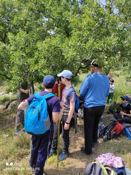 קובץ:2021-04-03T13 45 24.672622423511.jpg