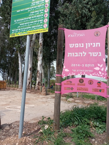 קובץ:2021-04-16T17 48 09.849497778536.jpg