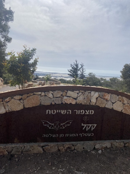 קובץ:2021-04-23T15 50 09.818618151699.jpg