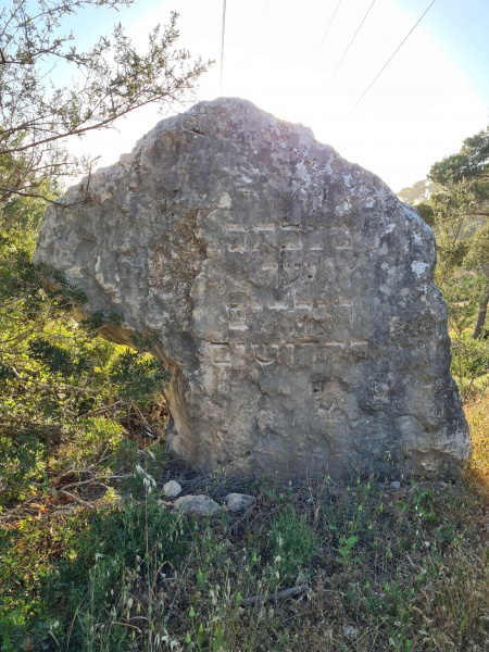 קובץ:2021-04-27T18 16 09.377604651221.jpg