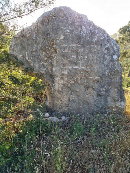 קובץ:2021-04-27T18 16 42.163275970956.jpg