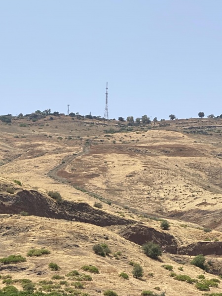 קובץ:2021-05-08T13 37 24.651411609617.jpg