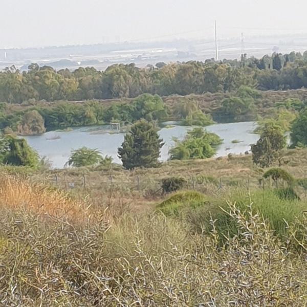 קובץ:2021-05-21T07 55 08.883142143743.jpg