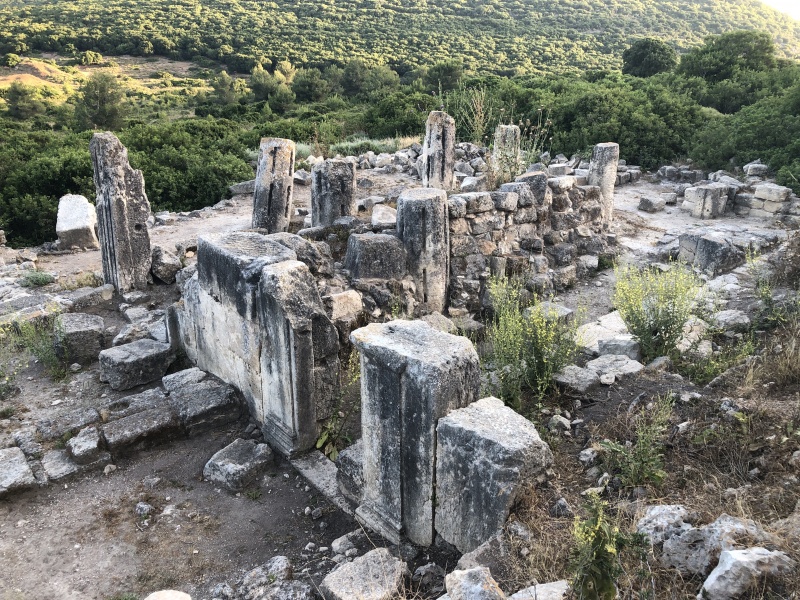 קובץ:2021-05-24T18 54 03.075462570951.jpg