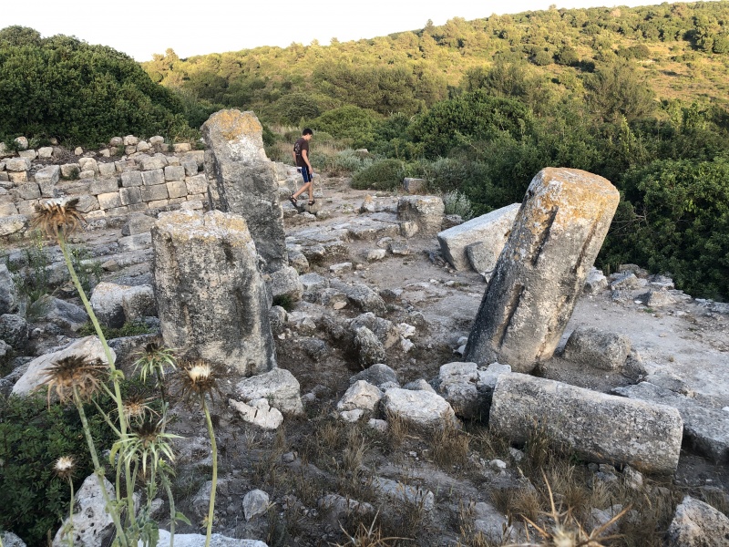 קובץ:2021-05-24T19 03 32.451474566217.jpg