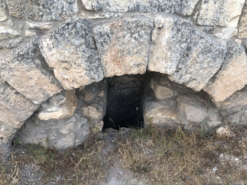 קובץ:2021-05-24T19 06 00.965179729049.jpg