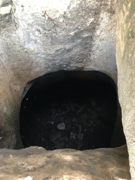 קובץ:2021-05-24T19 06 26.771024320784.jpg