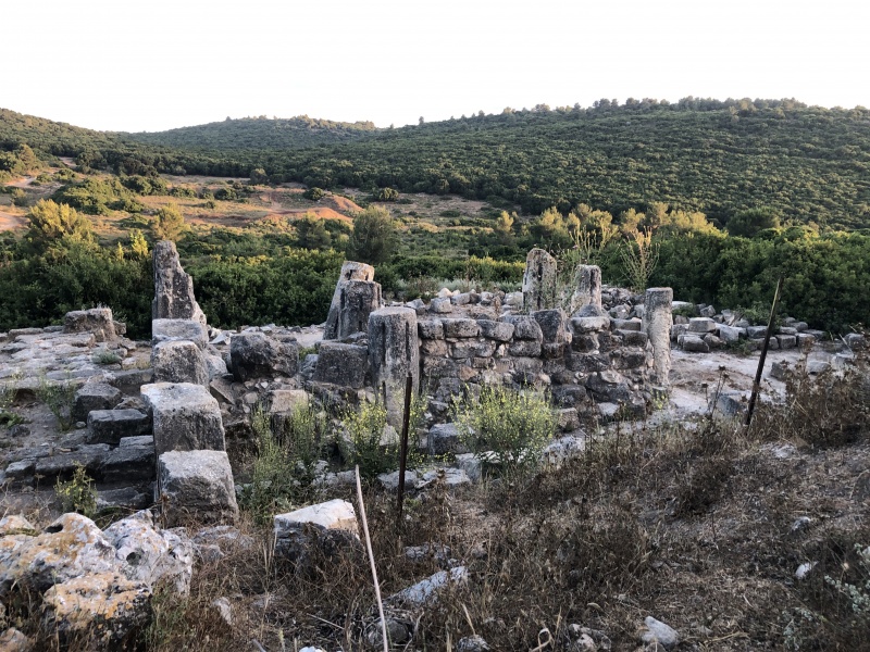 קובץ:2021-05-24T19 13 56.167634958832.jpg