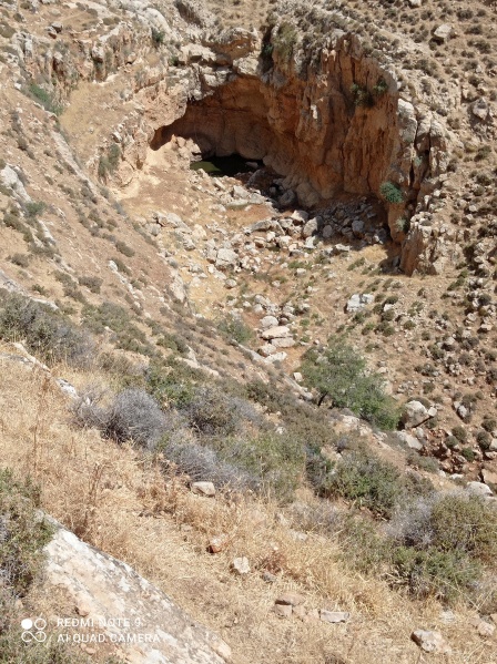 קובץ:2021-05-28T10 31 47.228458849615.jpg