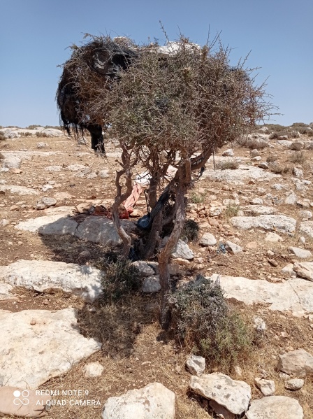 קובץ:2021-05-28T13 27 47.28751285639.jpg