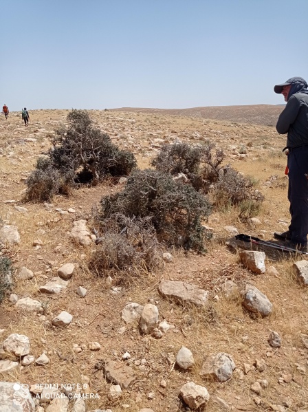 קובץ:2021-05-28T14 03 05.43864445374.jpg