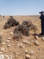תמונה ממוזערת לגרסה מתאריך 11:18, 28 במאי 2021
