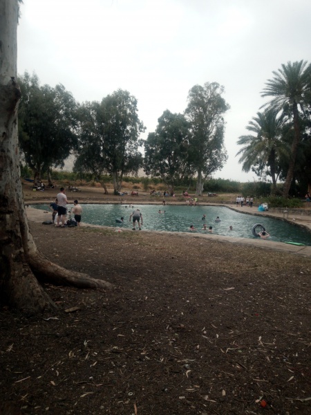 קובץ:2021-06-06T00 55 32.172004489196.jpg
