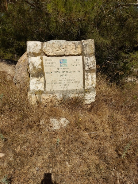 קובץ:2021-06-12T10 08 30.550588238455.jpg