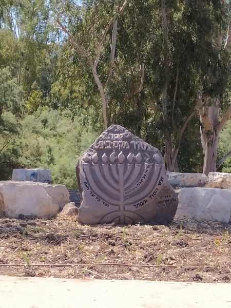 קובץ:2021-06-25T14 30 04.003253982649.jpg