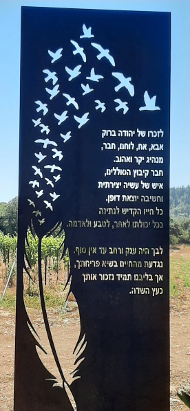 קובץ:2021-06-26T17 16 21.626149722473.jpg