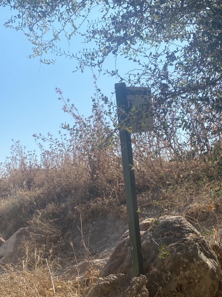 קובץ:2021-07-09T17 03 32.313686715608.jpg