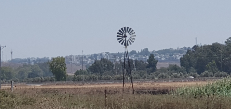 קובץ:2021-07-31T11 52 10.415117465460.jpg