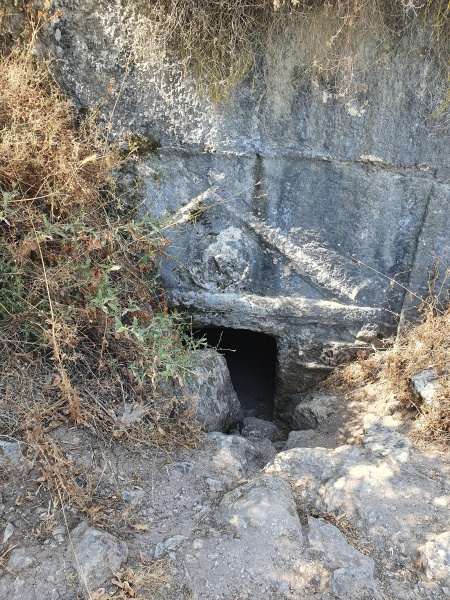 קובץ:2021-08-02T09 49 37.847849355342.jpg