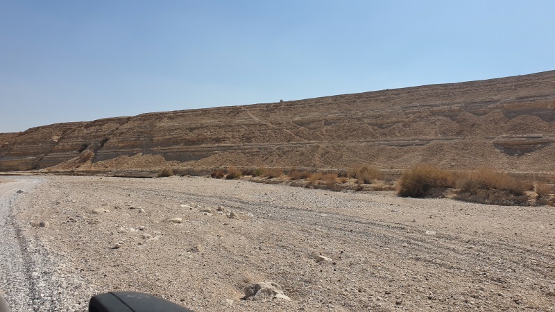 קובץ:2021-08-22T10 00 52.332879984161.jpg