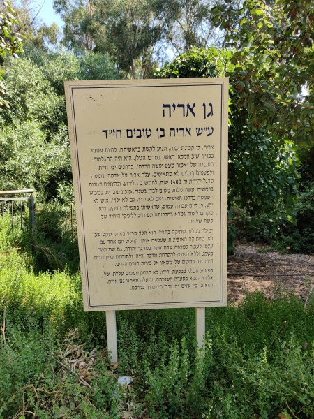 קובץ:2021-08-25T15 41 17.430950367608.jpg