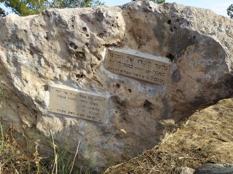 קובץ:2021-09-03T08 25 16.501281609838.jpg