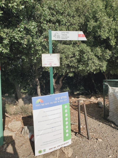 קובץ:2021-09-04T11 30 17.850133546381.jpg