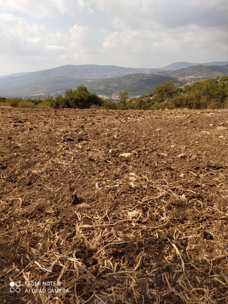 קובץ:2021-09-16T09 33 09.820946214999.jpg