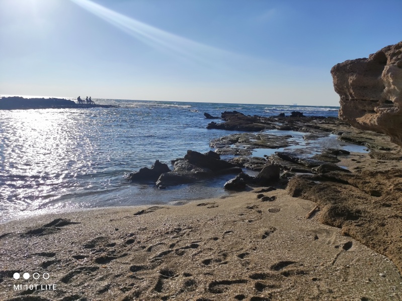 קובץ:2021-09-17T17 15 16.363594270246.jpg