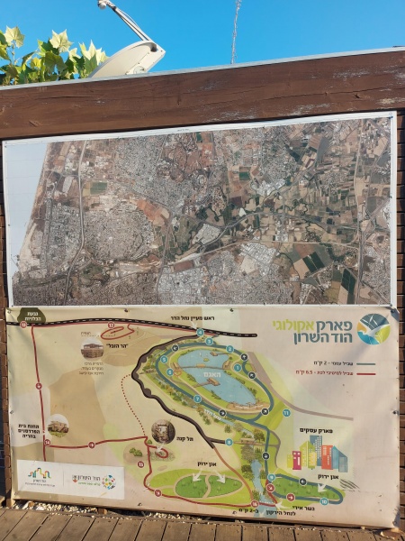 קובץ:2021-09-18T07 26 26.737901635507.jpg