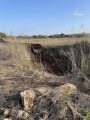 תמונה ממוזערת לגרסה מתאריך 14:29, 20 בספטמבר 2021