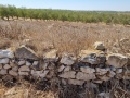 תמונה ממוזערת לגרסה מתאריך 08:06, 22 בספטמבר 2021